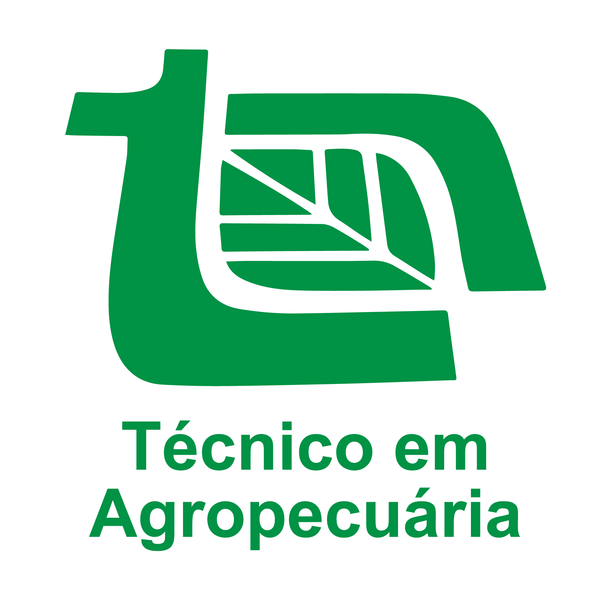 Escudo do time